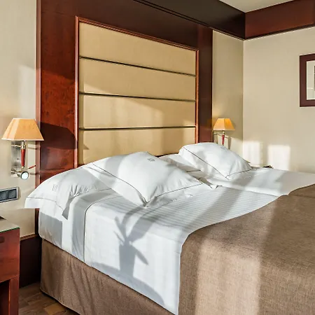 酒店 格拉纳达中心酒店