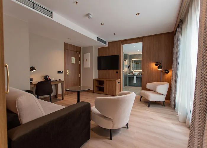 غرانادا سنتر 4* غرناطة